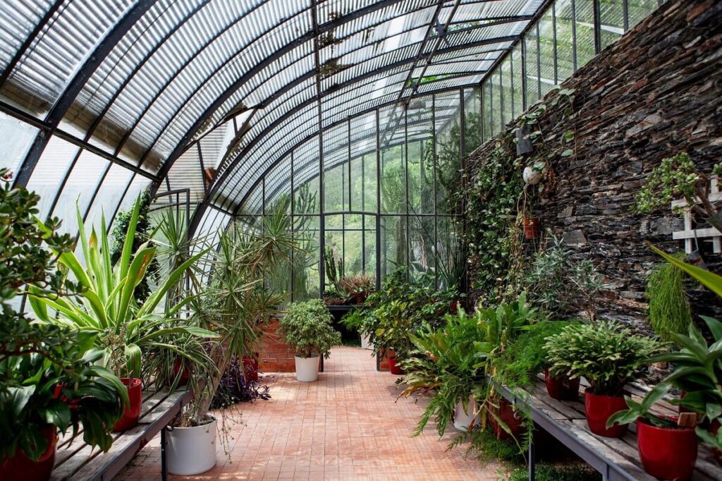 Des plantes en harmonie dans une serre