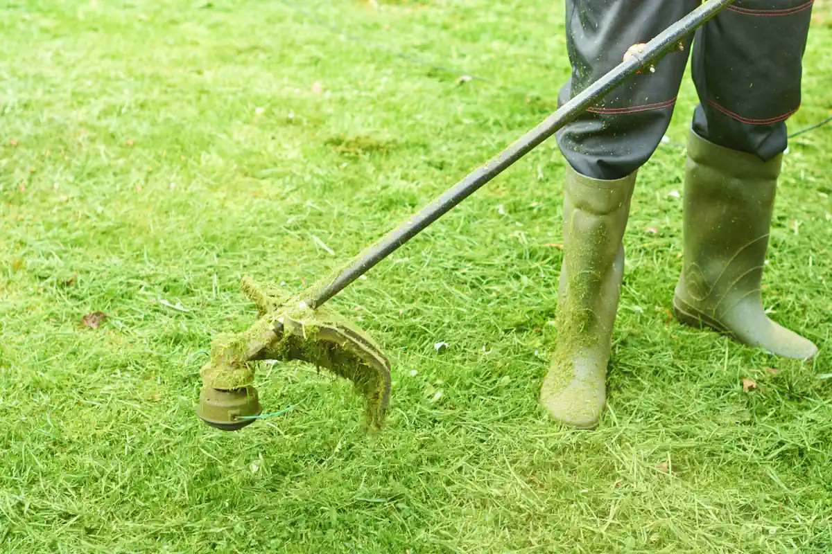 Un homme qui tond une pelouse