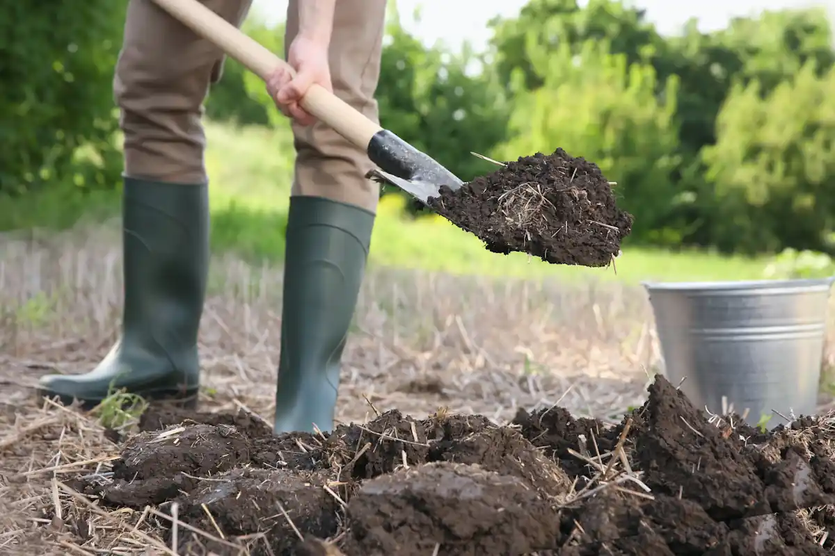 Une personne qui ajoute du compost sur un terre argileux