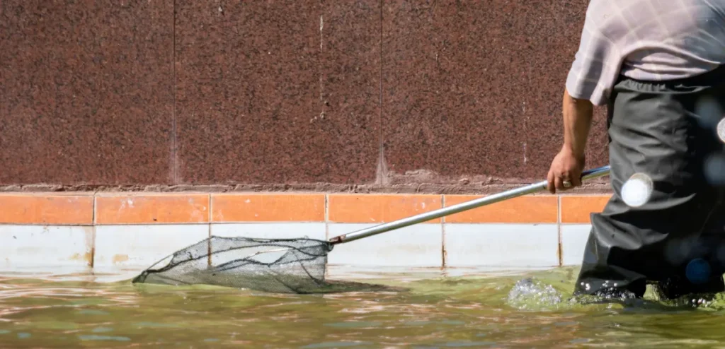 Une personne qui nettoie une eau piscine verte algues